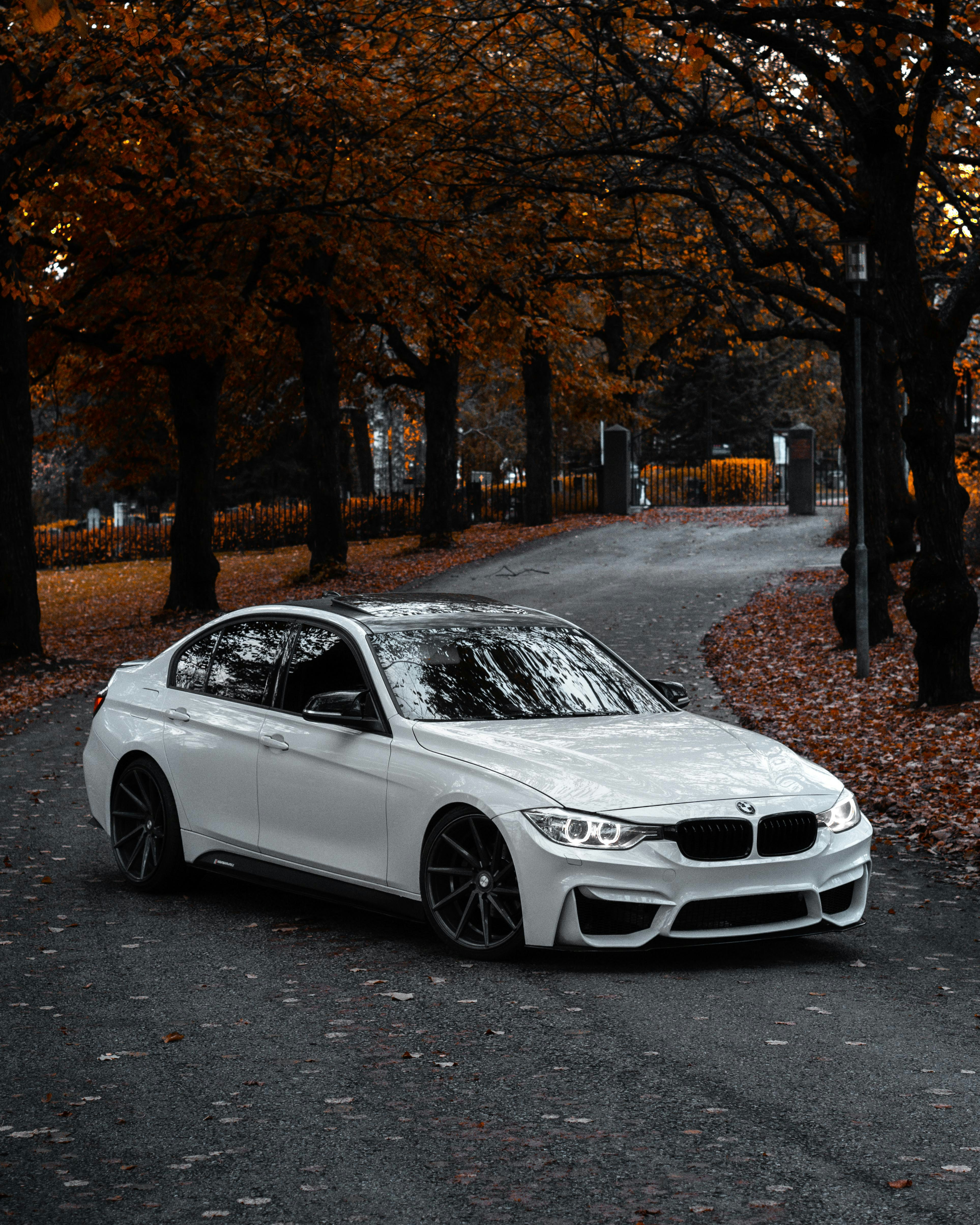 őszi bmw